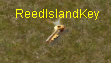 birdkey.png